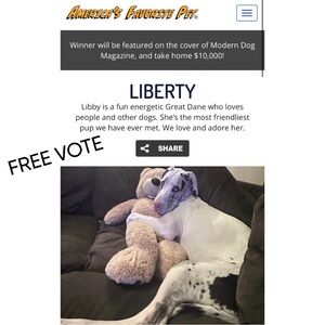 Free Voting Each Day